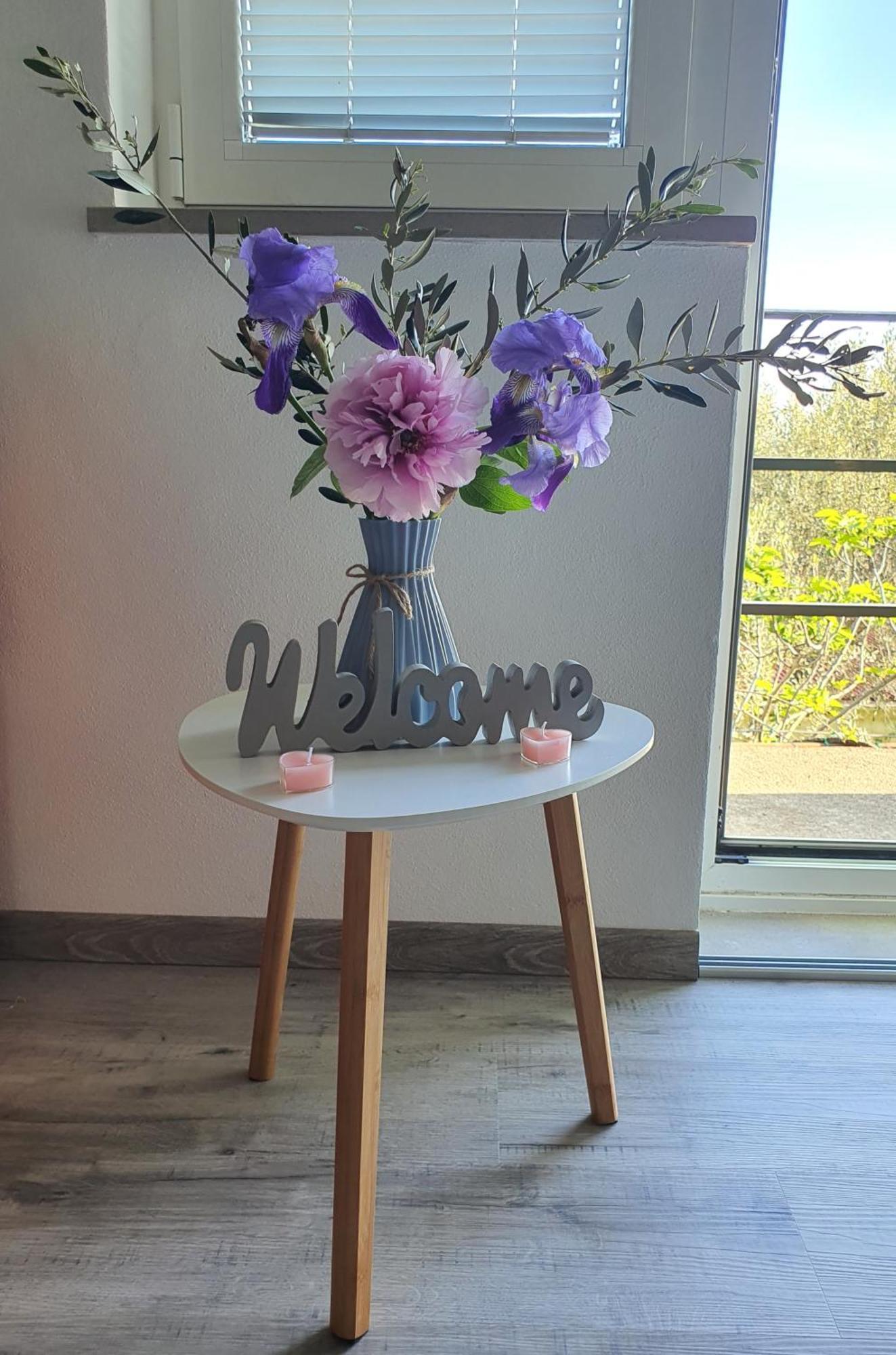 Apartma Vista Baredi 이졸라 외부 사진